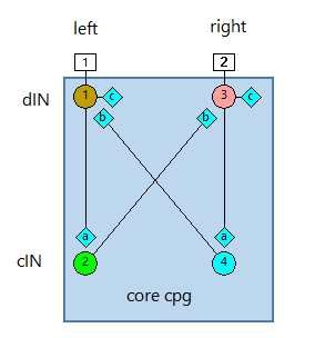 tadpole swimming core circuit